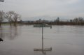 Hochwasser Seligenstadt 18.01.2011 018